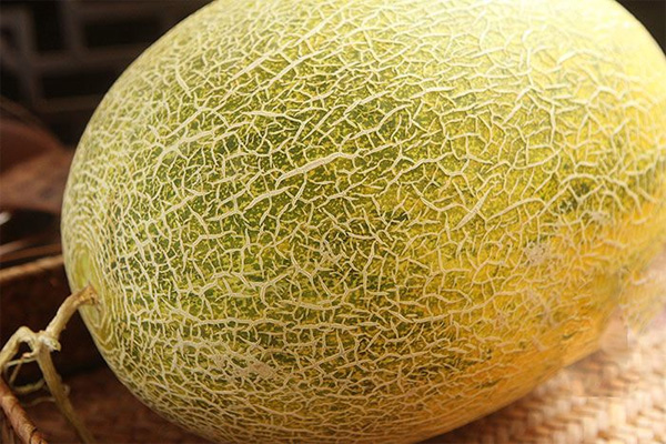 Người bán hàng không bao giờ nói cho bạn: Mua dưa lưới nhất định phải sờ vào chỗ này-1