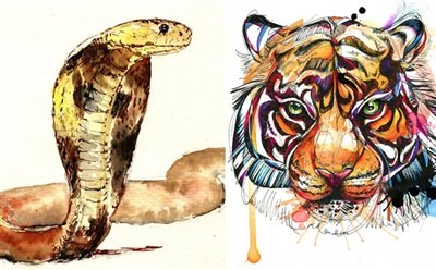 Tử vi tuần mới từ 31/8-6/9/2020 của 12 con giáp: Tị một tuần bội thu, Dần tình duyên trắc trở-1