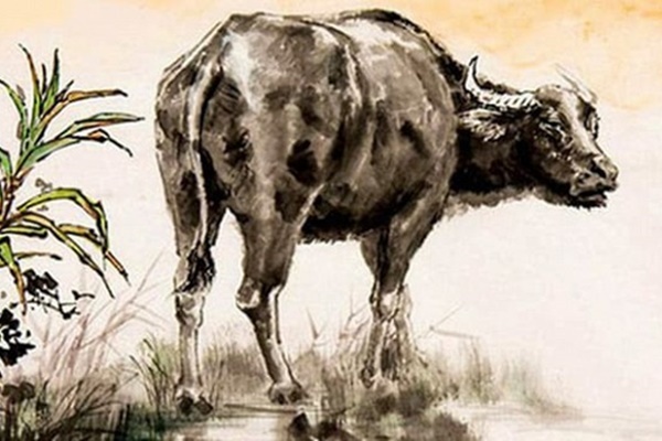 Tổng quan tuần mới 31/8 - 6/9 cho 12 cung Hoàng đạo: Song Tử được cấp trên ưu ái, Xử Nữ tỏa sáng khắp nơi-3