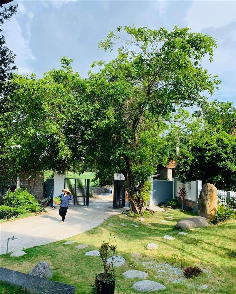 Con trai xây nhà vườn bên đồng lúa xanh mát tặng bố mẹ an hưởng tuổi già ở Vĩnh Phúc-6