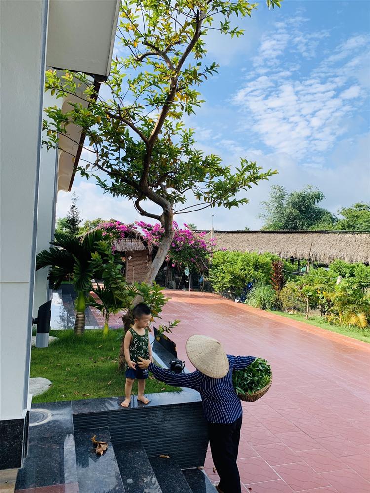 Con trai xây nhà vườn bên đồng lúa xanh mát tặng bố mẹ an hưởng tuổi già ở Vĩnh Phúc-13