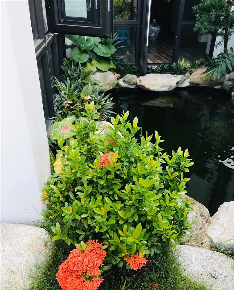 Con trai xây nhà vườn bên đồng lúa xanh mát tặng bố mẹ an hưởng tuổi già ở Vĩnh Phúc-17