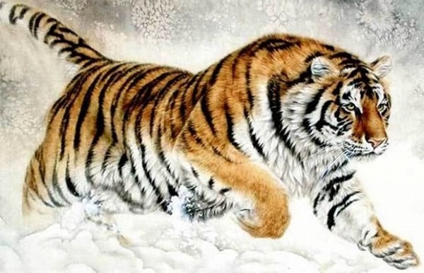 Thần Tài ban thưởng, 3 con giáp bung tài nở lộc, tiền vào như nước trong nửa đầu tháng 9/2020-2