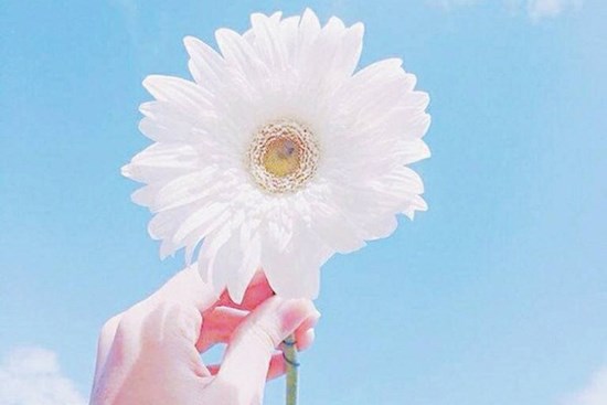 Tử vi tháng 9/2020 của 12 con giáp: Công danh nở rộ chào đón những con giáp nào?