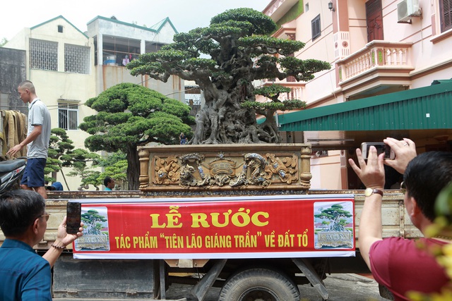 Chấn động” tác phẩm 28 tỷ đồng được biến hóa” từ ngọn cây tưởng bỏ đi-5