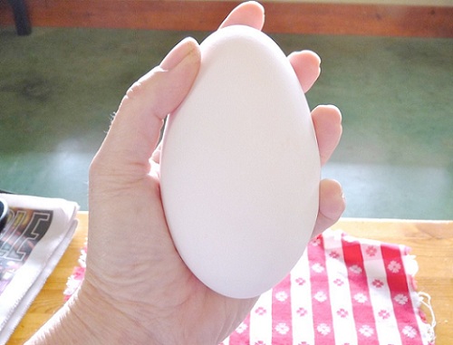 Bà bầu ăn trứng ngỗng có lợi gì? Ăn vào thời điểm nào là tốt nhất?-1