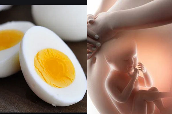 Bà bầu ăn trứng ngỗng có lợi gì? Ăn vào thời điểm nào là tốt nhất?-3