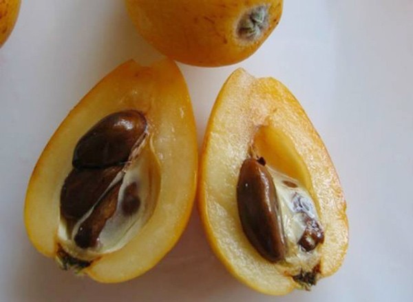 Thứ quả rẻ như bèo ở nước ngoài, về Việt Nam bán tiền triệu vẫn tranh nhau mua-1