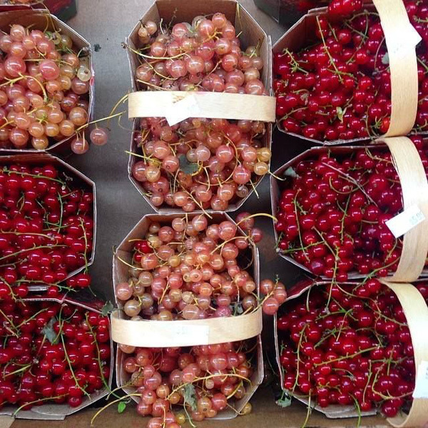 Thứ quả rẻ như bèo ở nước ngoài, về Việt Nam bán tiền triệu vẫn tranh nhau mua-3