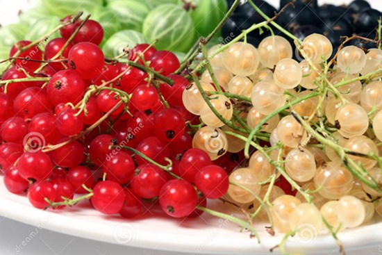 Thứ quả 'rẻ như bèo' ở nước ngoài, về Việt Nam bán tiền triệu vẫn tranh nhau mua