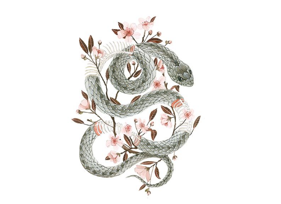 3 con giáp nữ được Thần Tài ưu ái, tháng 9 này đặc biệt vượng phát, sự nghiệp, tình duyên tấn tới-2