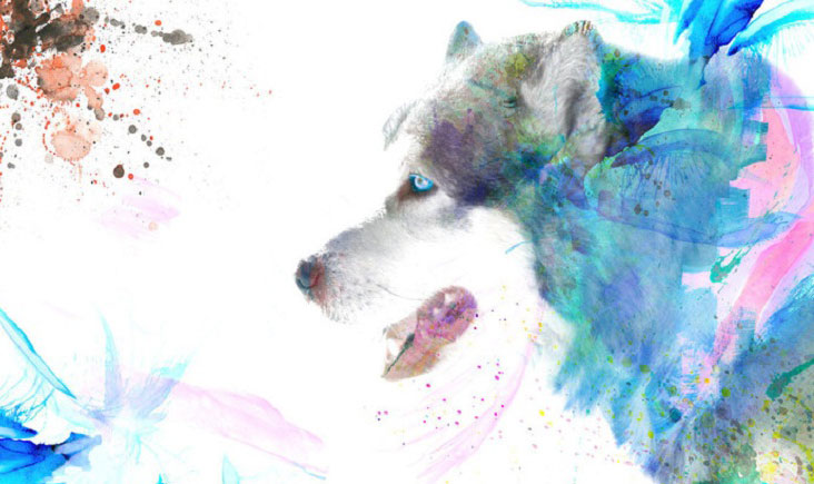 3 con giáp nữ được Thần Tài ưu ái, tháng 9 này đặc biệt vượng phát, sự nghiệp, tình duyên tấn tới-1