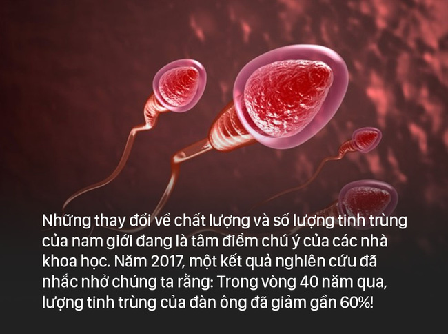 Nam giới thường xuyên làm việc này vào ban đêm thì chất lượng tinh trùng kém đi trông thấy, không thay đổi ngay có thể dẫn đến vô sinh-4