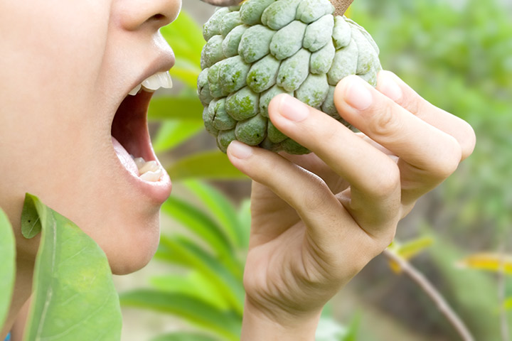 Bà bầu ăn na có tốt không? 9 công dụng tuyệt vời, duy nhất 1 điều nên tránh kẻo hại sức khỏe-3