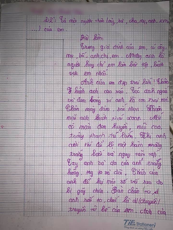 Bé gái cấp 1 làm văn tả anh trai, cả bài đang cảm động riêng đến phần kể về trí thông minh, ông anh phải phì cười-2