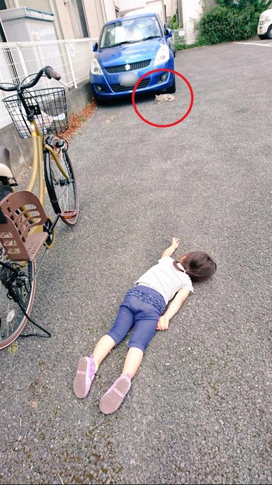 Xót xa bức ảnh bé gái nằm sõng soài trên đường nhưng câu chuyện thật đằng sau lại khiến bao người thay đổi thái độ-3