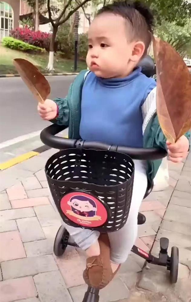 Đang đi dạo trên đường thì bắt gặp 1 cô bé xinh đẹp, phản ứng của bé trai khiến mẹ bò lăn ra cười-1