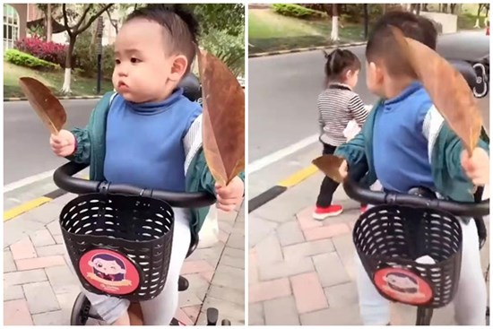 Đang đi dạo trên đường thì bắt gặp 1 cô bé xinh đẹp, phản ứng của bé trai khiến mẹ bò lăn ra cười