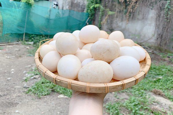 Hoa hậu miền Tây lấy chồng đại gia: Ở biệt thự 1.200m2, quả ăn không hết phải mang cho-8