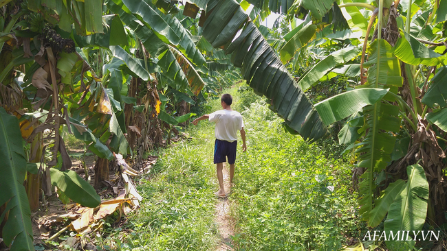 NÓNG: Đã bắt được nghi phạm hiếp dâm bé gái trong vườn chuối ở Hà Nội-1