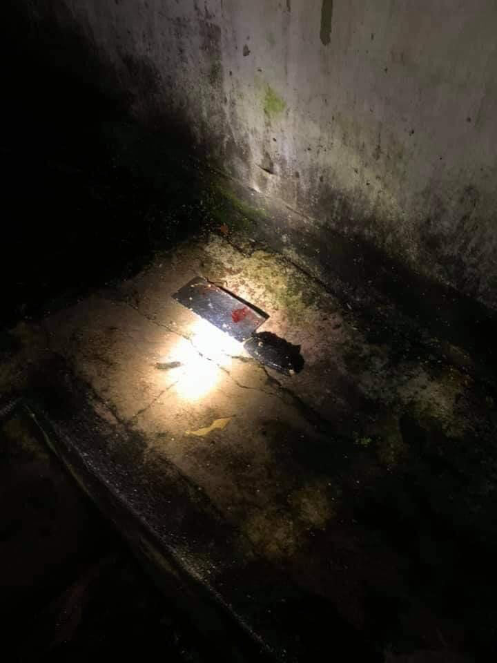 Chồng điên cuồng khi thấy vợ nằm giường bấm điện thoại-1