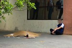 Hà Nội: Cư dân HH Linh Đàm một phen rụng rời sau tiếng động lớn, phát hiện quả tạ bay ngay giữa lối đi chung-4