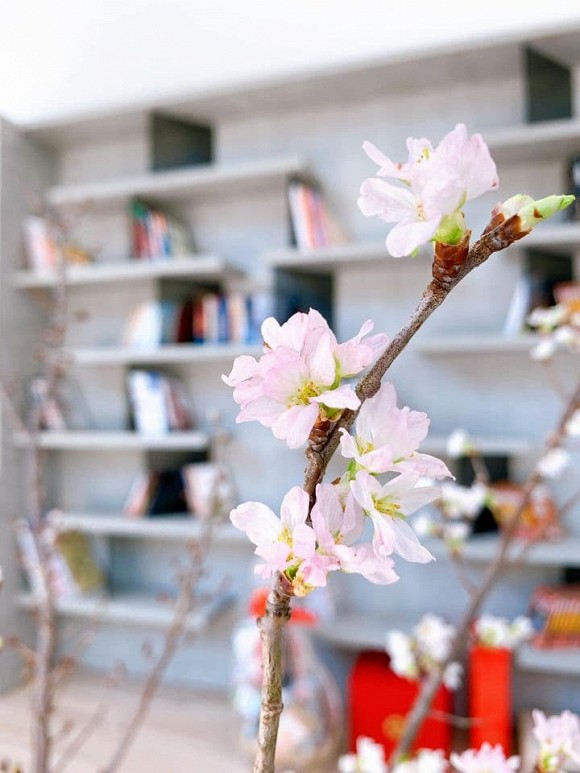 Khám phá không gian biệt thự sang trọng của Mr. Siro-12