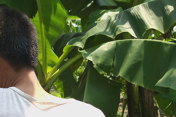 Sa Pa chuyển rét 12,9 độ C trong ngày đầu Thu-2