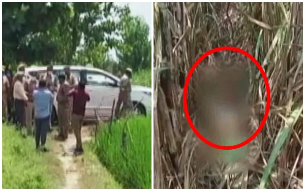 Phát hiện thi thể bé gái 3 tuổi ở ruộng mía, cha mẹ sốc khi nghe kết quả khám nghiệm và kẻ thủ ác không phải ai xa lạ-1