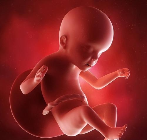 Việc bà bầu thường xuyên sờ tay lên bụng bầu có hại cho thai nhi không? Hãy làm tốt điều một cần hai không để bảo vệ sức khỏe của mẹ và bé-5