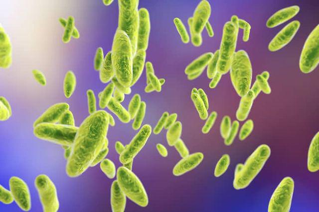 Đứa trẻ sốt cao 4 ngày không hạ, tổn thương thần kinh vì cốc sữa mua ven đường-3