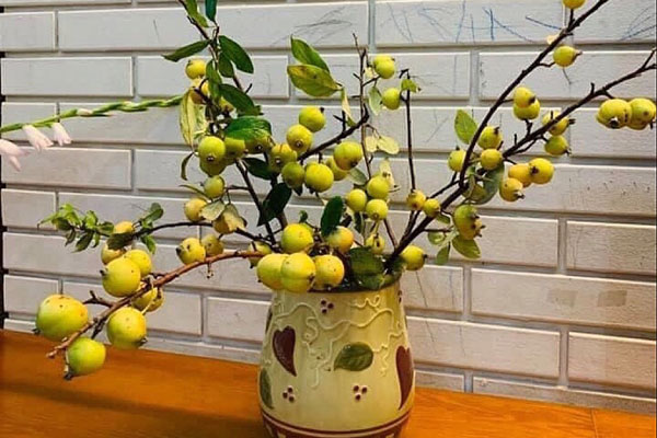 Cành lựu 3 màu phong thủy, chị em bỏ tiền triệu mua trưng Tết-6