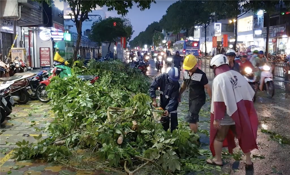 TP.HCM: Cây xanh gãy nhánh, đè trúng cô gái bị thương, bạn trai hoảng loạn kêu cứu-1