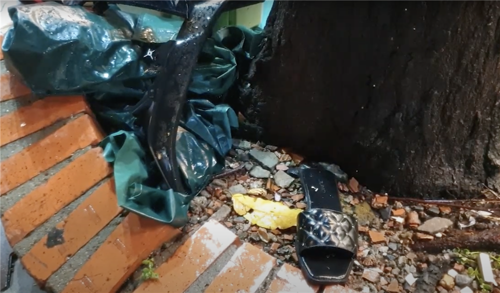 TP.HCM: Cây xanh gãy nhánh, đè trúng cô gái bị thương, bạn trai hoảng loạn kêu cứu-2