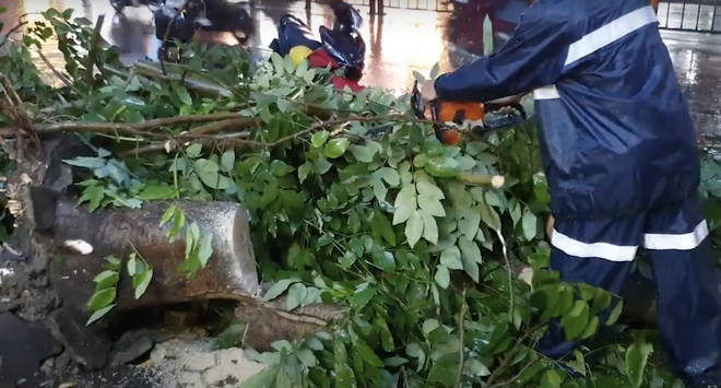 TP.HCM: Cây xanh gãy nhánh, đè trúng cô gái bị thương, bạn trai hoảng loạn kêu cứu-4