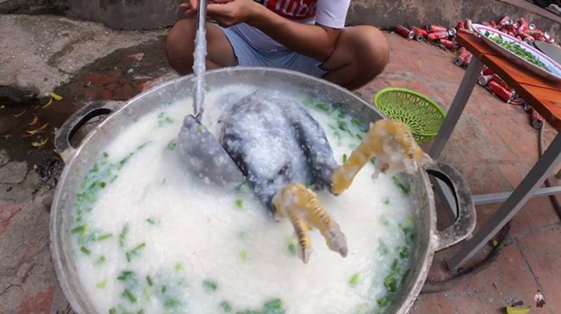 Con trai Bà Tân Vlog đạt đến cực đỉnh phẫn nộ của cộng đồng mạng khi mang gà nguyên lông nấu cháo mời các em-2