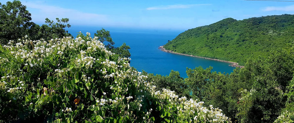 Chưa hết tuần trăng mật, tôi đã muốn ly hôn-1