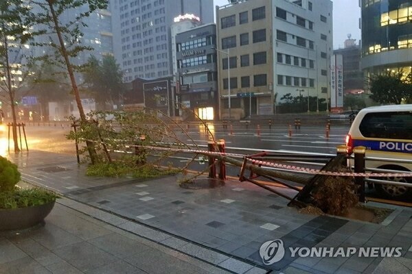 Hình ảnh bão Haishen đổ bộ vào Hàn Quốc-3