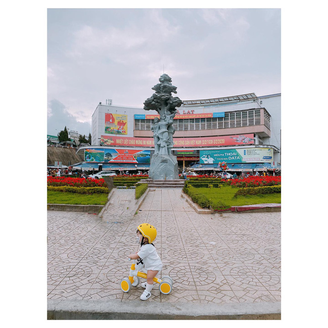 Bộ ảnh Ủn xe 1 vòng Đà Lạt của cậu nhóc 11 tháng tuổi khiến dân mạng thích thú thốt lên: Cute lạc lối là có thật-2