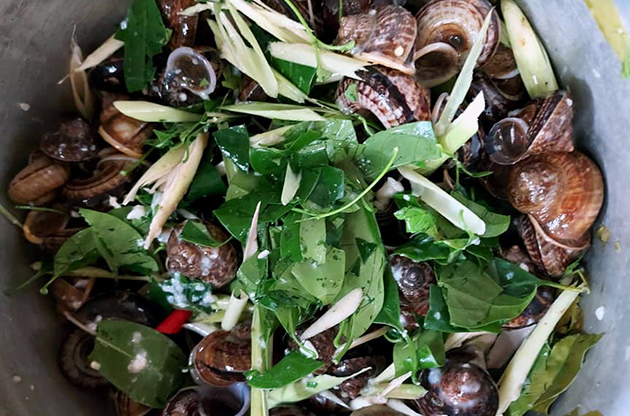 Loại rau mọc hoang giá 100 nghìn/kg được bà nội trợ săn lùng-3