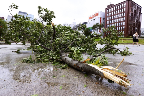 Bão Haishen: Hai thực tập sinh Việt Nam mất tích ở Nhật Bản-3