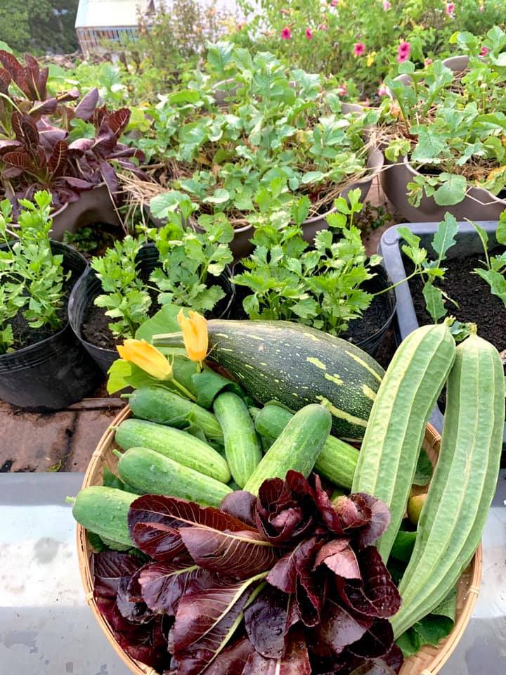 Ghen tị khu vườn 200m² ngập tràn hoa tươi và rau củ quả sạch trên sân thượng của nữ doanh nhân Sài Gòn-9