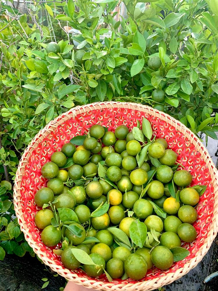 Ghen tị khu vườn 200m² ngập tràn hoa tươi và rau củ quả sạch trên sân thượng của nữ doanh nhân Sài Gòn-12