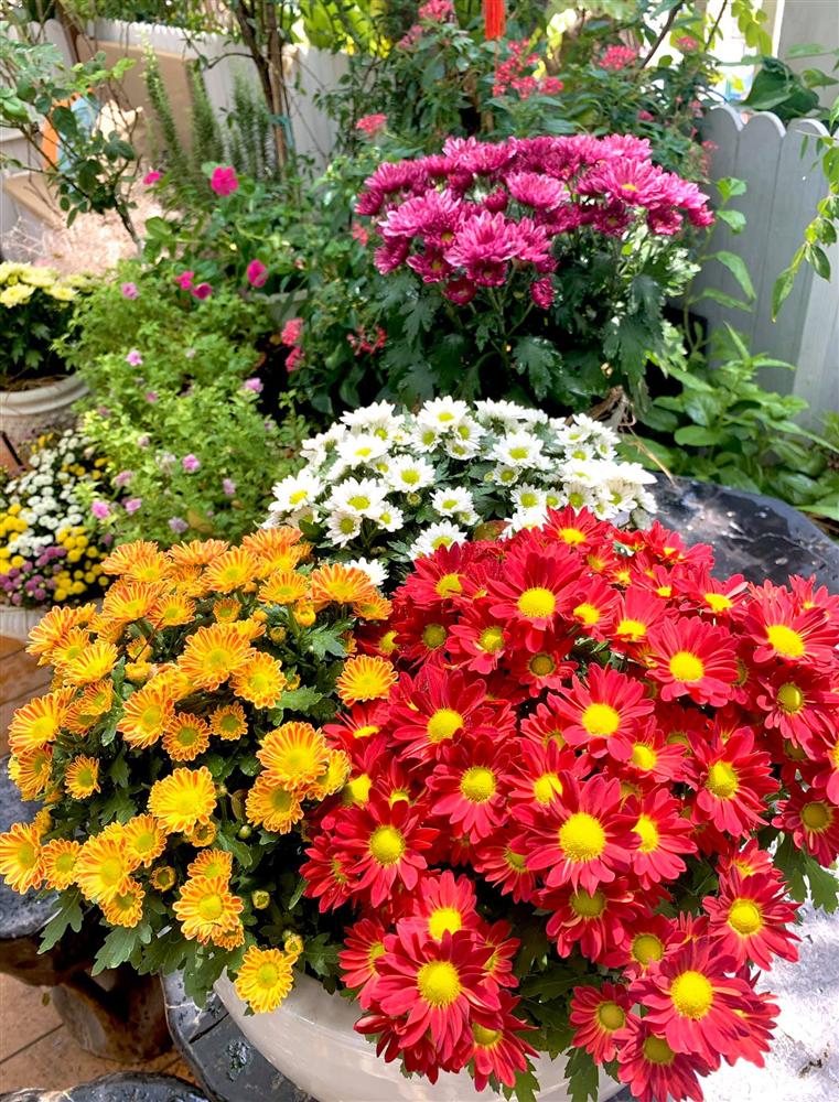 Ghen tị khu vườn 200m² ngập tràn hoa tươi và rau củ quả sạch trên sân thượng của nữ doanh nhân Sài Gòn-22