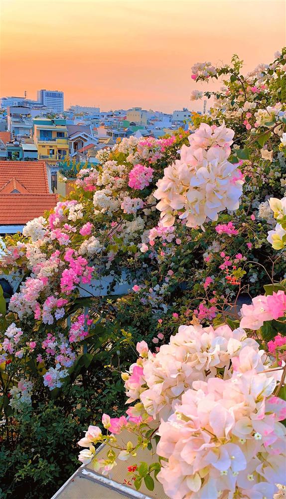 Ghen tị khu vườn 200m² ngập tràn hoa tươi và rau củ quả sạch trên sân thượng của nữ doanh nhân Sài Gòn-23