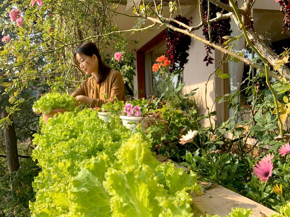 Ghen tị khu vườn 200m² ngập tràn hoa tươi và rau củ quả sạch trên sân thượng của nữ doanh nhân Sài Gòn-24