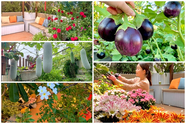 Khu vườn với đủ loại hoa thơm và trái ngọt của mẹ đảm quê Long An-32