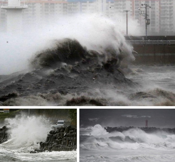 Chùm ảnh về siêu bão Haishen mạnh kỷ lục càn quét Nhật Bản và Hàn Quốc: Cuồng phong đi qua, còn hoang tàn ở lại-3