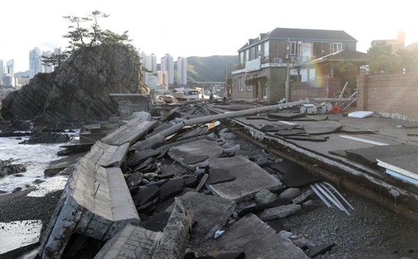 Chùm ảnh về siêu bão Haishen mạnh kỷ lục càn quét Nhật Bản và Hàn Quốc: Cuồng phong đi qua, còn hoang tàn ở lại-6