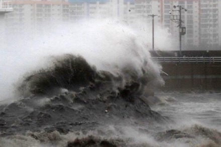 Chùm ảnh về siêu bão Haishen mạnh kỷ lục càn quét Nhật Bản và Hàn Quốc: Cuồng phong đi qua, còn hoang tàn ở lại